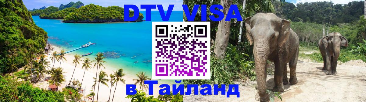 Сколько стоит DTV виза — актуальные цены, оформление даже без документов - 18.11.2025 